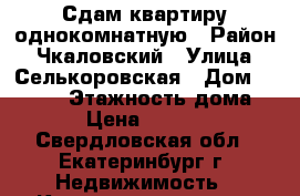 Сдам квартиру однокомнатную › Район ­ Чкаловский › Улица ­ Селькоровская › Дом ­ 100/1 › Этажность дома ­ 5 › Цена ­ 11 800 - Свердловская обл., Екатеринбург г. Недвижимость » Квартиры аренда   